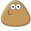 Pou