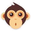 Monkey Code Apps