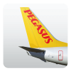 Pegasus Airlines