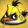 Angry Bird
