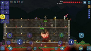 Terraria ekran görüntüleri