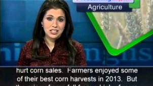 VOA İngilizce Öğrenme v1.0 ekran görüntüleri