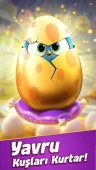Angry Birds Match 3 ekran görüntüleri