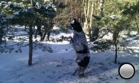 Fast Burst Camera v4.0.4 ekran görüntüleri