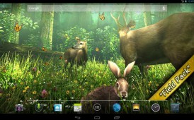 Forest HD v1.5.1 ekran görüntüleri