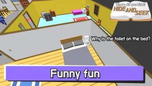 Hide.io ekran görüntüleri