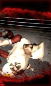 iron Fist Boxing v4.2.2 ekran görüntüleri