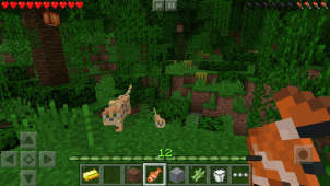 Minecraft: Pocket Edition (PE) v0.14.1  ekran görüntüleri
