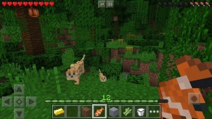 Minecraft Pocket Edition v0.7.5 ekran görüntüleri