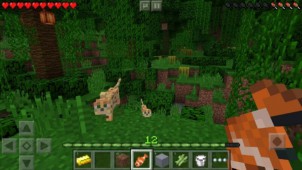 Minecraft PE v0.14.0 ekran görüntüleri