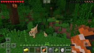 Minecraft PE v0.14.0 Build 7 ekran görüntüleri