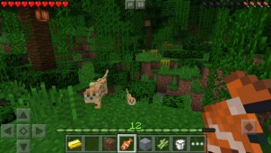 Minecraft PE v0.14.3 ekran görüntüleri
