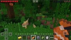Minecraft PE v0.15.2 ekran görüntüleri