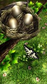 Season Zen HD v1.8 ekran görüntüleri