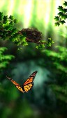Season Zen HD v1.8 ekran görüntüleri