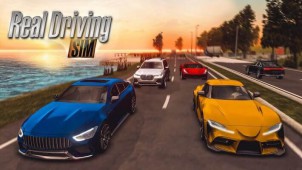 Real Driving Sim ekran görüntüleri