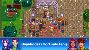 Stardew Valley ekran görüntüleri