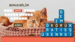 Kelime Kulesi ekran görüntüleri