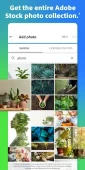 Adobe Express: Graphic Design ekran görüntüleri