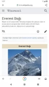 Google Go ekran görüntüleri