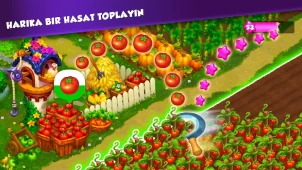 Royal Farm ekran görüntüleri