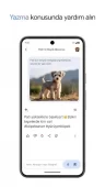 Google Gemini ekran görüntüleri