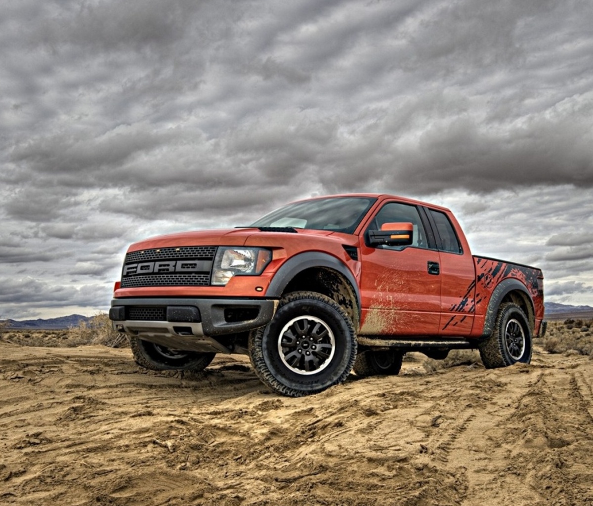 Raptor