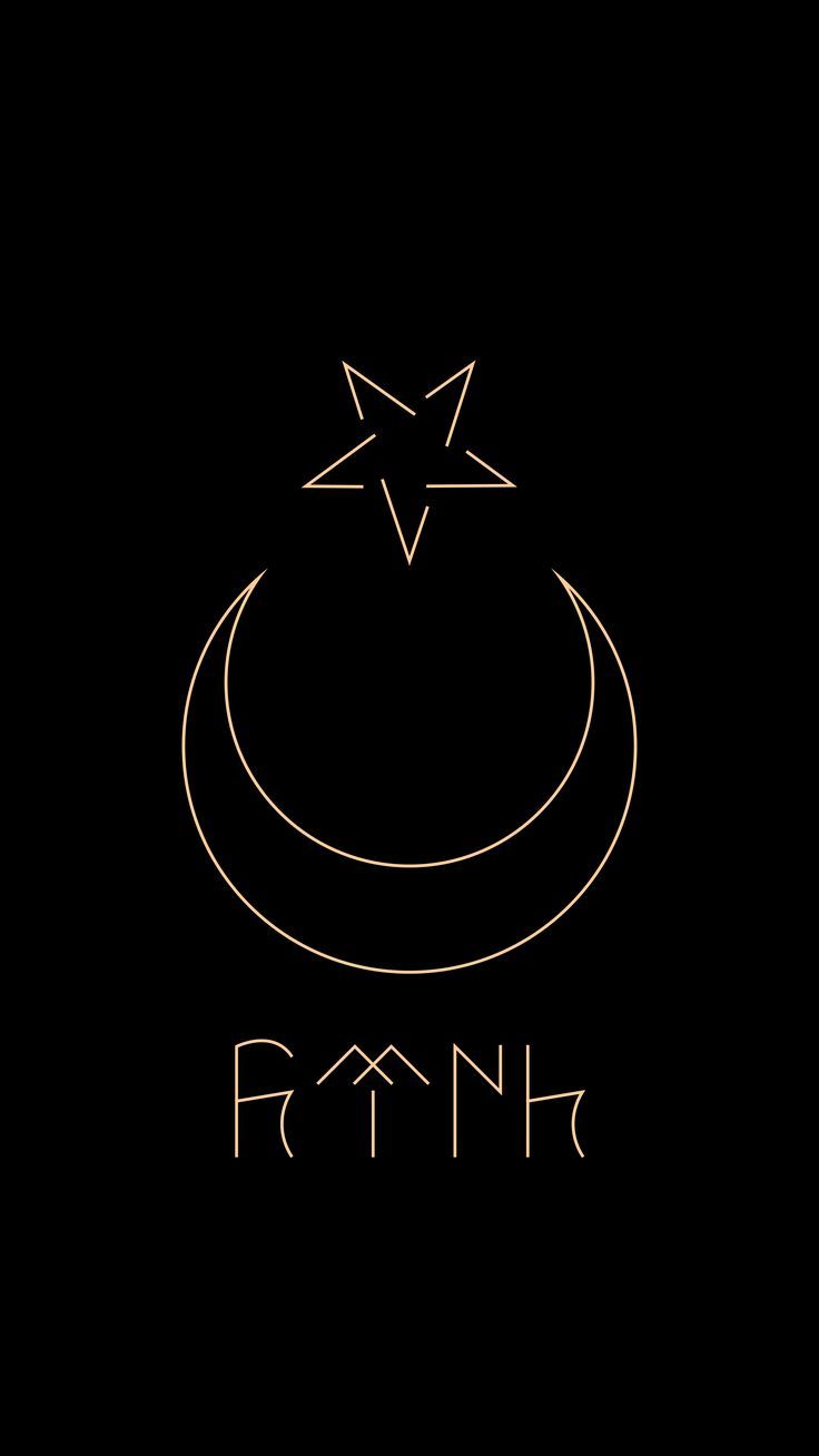 Siyah Beyaz Türk Bayrağı