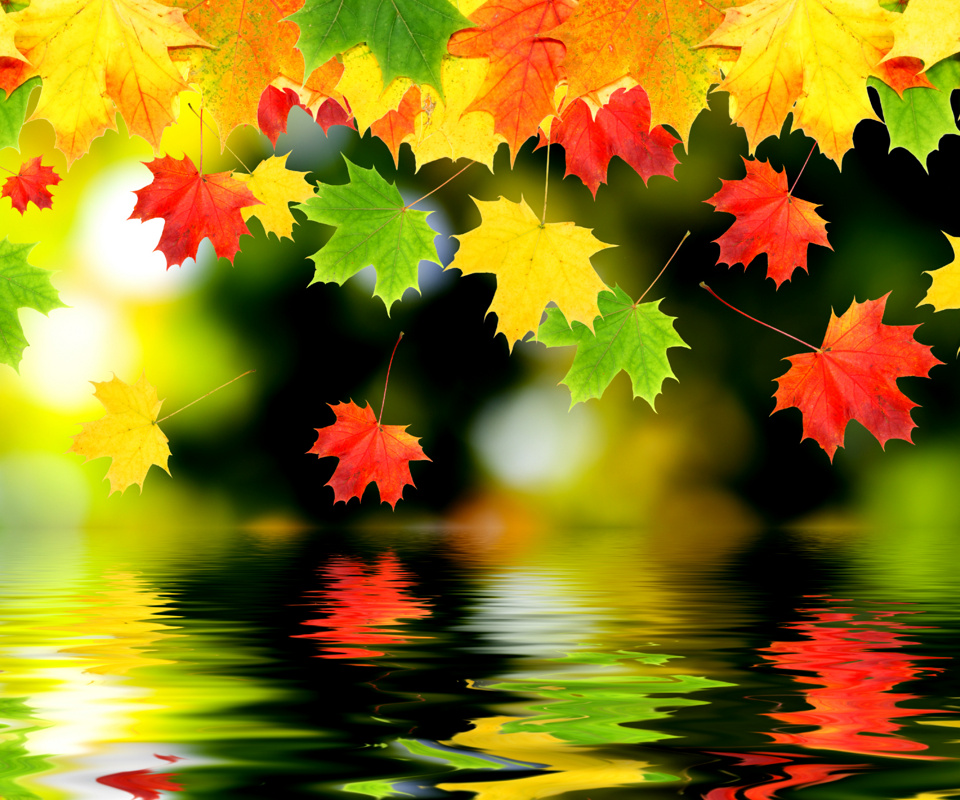 Sonbahar Yaprakları