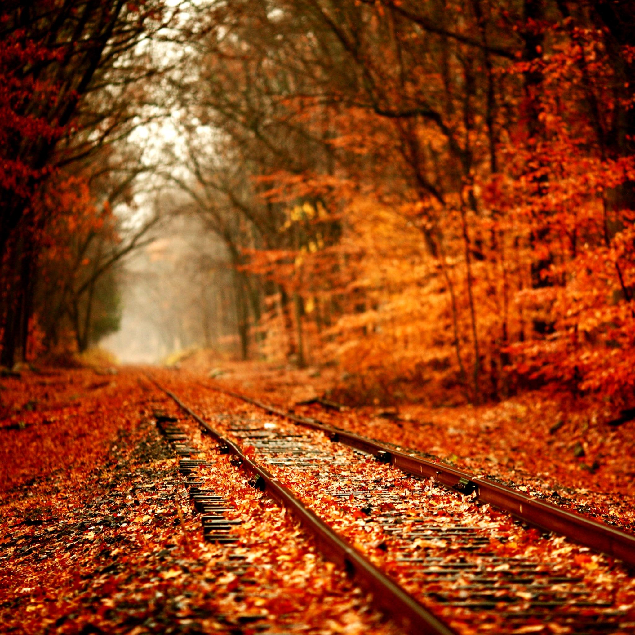 Sonbaharda Tren Yolu