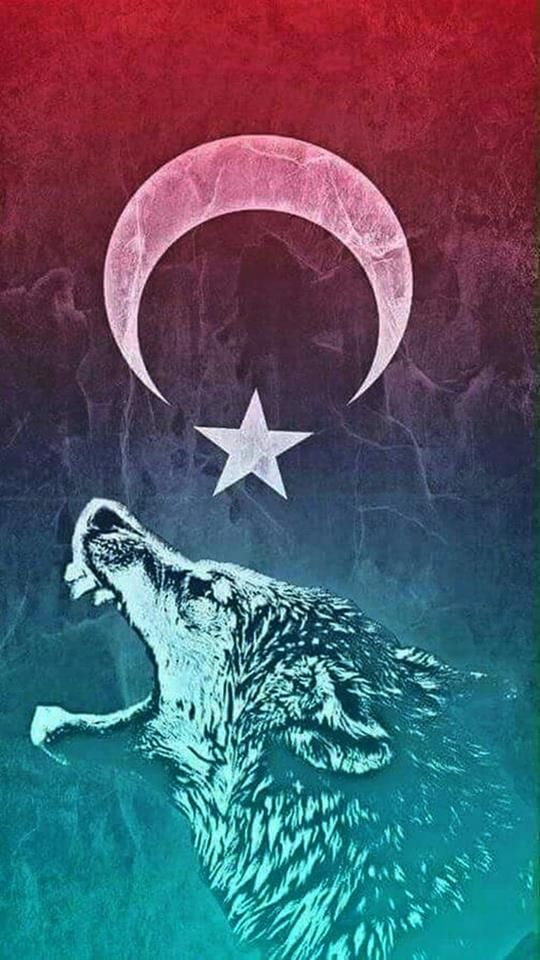 Türk Bayrağı ve Kurt