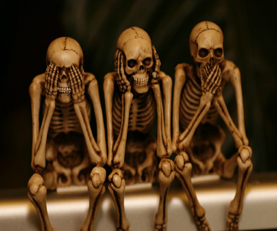 Üç iskelet